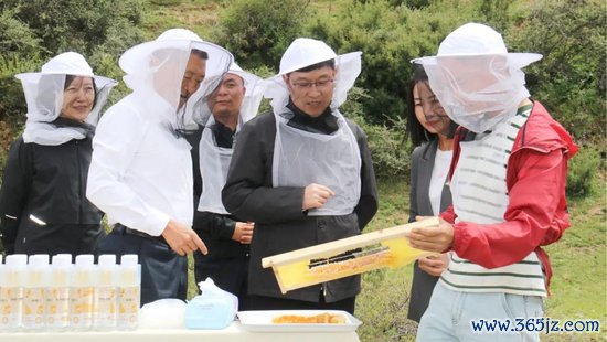 任德奇实地看望中华蜜蜂繁衍基地